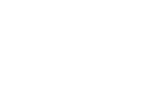 Logo Lunetterie Noémie Blanc